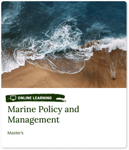 marine-policy-mgmt-card