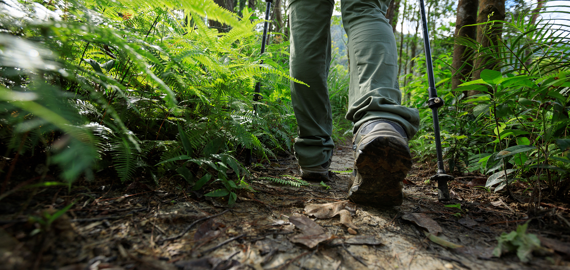 Legs hiking in summer forest mountain