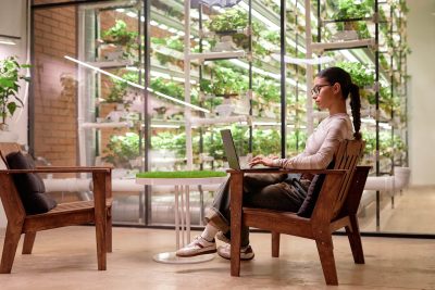Woman working on a laptop in a hydroponic garden.