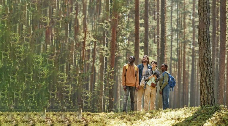 young-people-standing-in-the-forest-2023-11-27-05-19-17-utc-edited-min