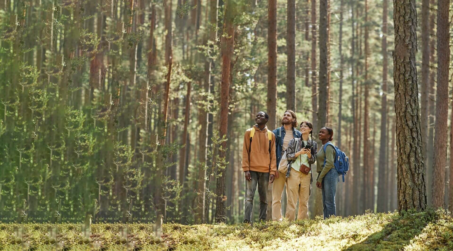 young-people-standing-in-the-forest-2023-11-27-05-19-17-utc-edited-min