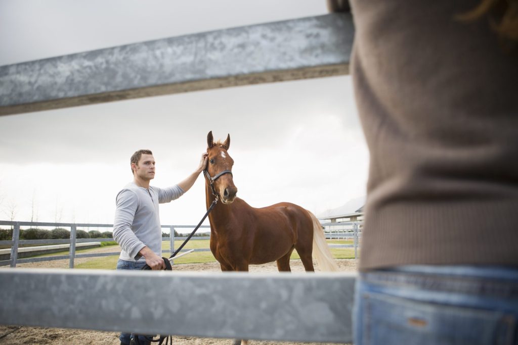 Man working with a horse on a lead.