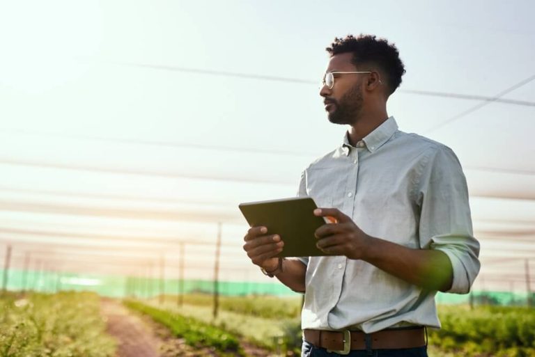 How to Become an Environmentalist
