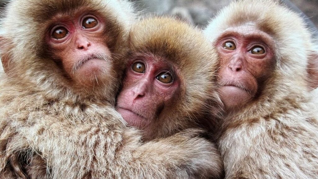 Environmentalism Must Evolve into Environmental Science & Sustainability