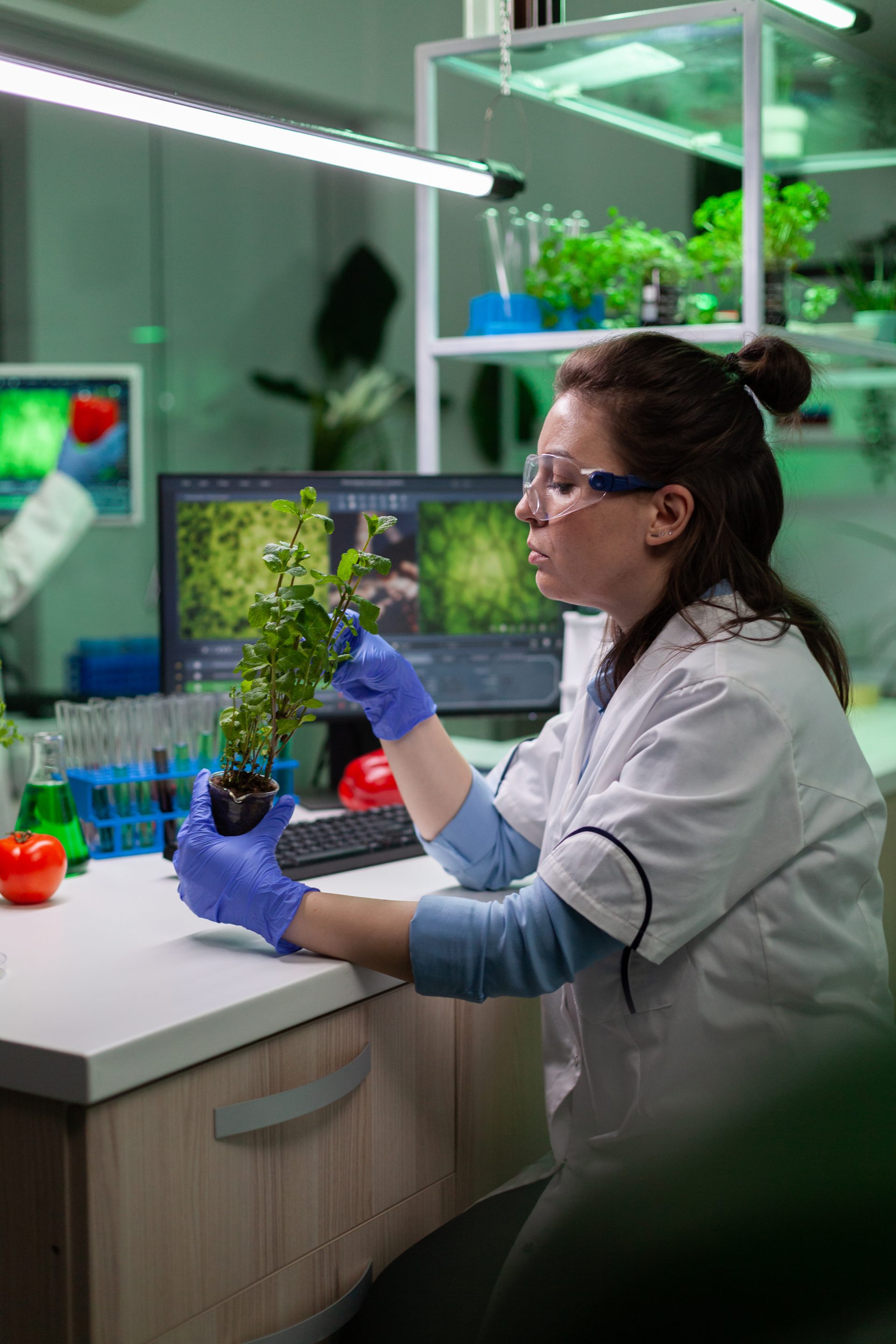 chemist-researcher-analyzing-organic-sapling-worki-2025-02-19-08-15-10-utc