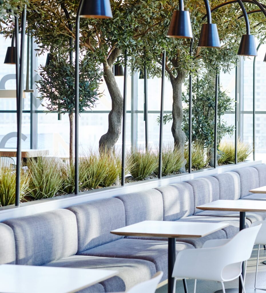 food-court-in-sunlight