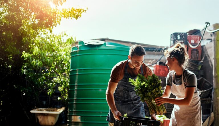 Culinary Innovation and Food Systems