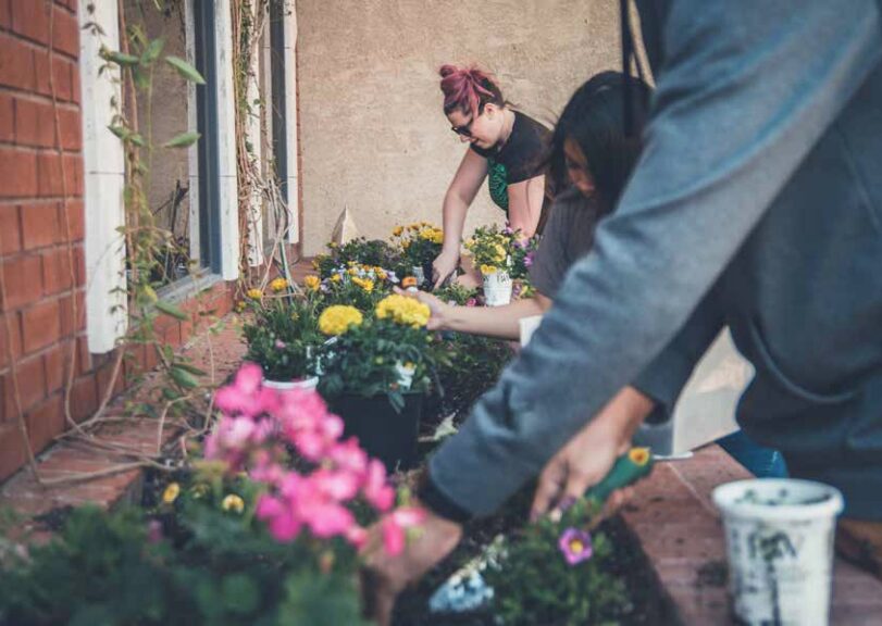 de-bacc-catalog-cover-25-26