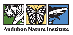 audobon-nature-institute-logo