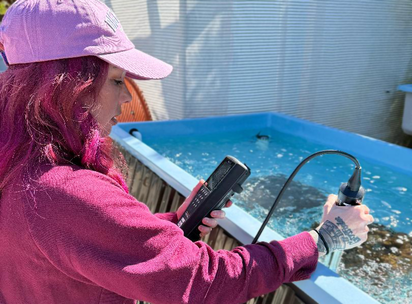 A YSI water quality testing device is a handy multi-parameter tool used in coral nurseries to check important environmental factors like temperature, salinity, pH, dissolved oxygen, conductivity, and turbidity.