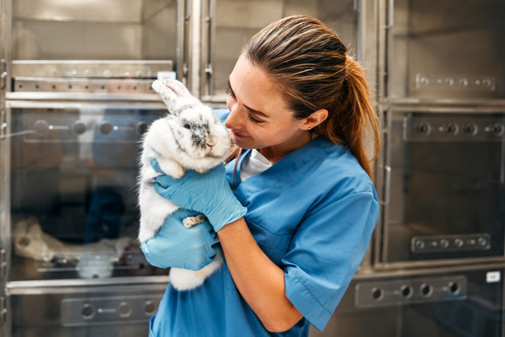 How to Become a Research Animal Technician — Unity Environmental University