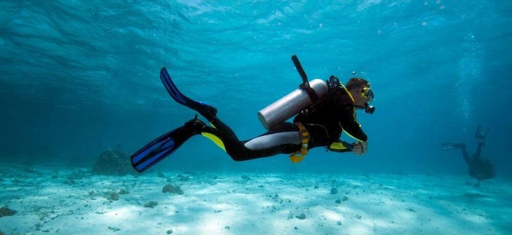Unity-Marine-Biologist-Blog-Cover-e1777489695420