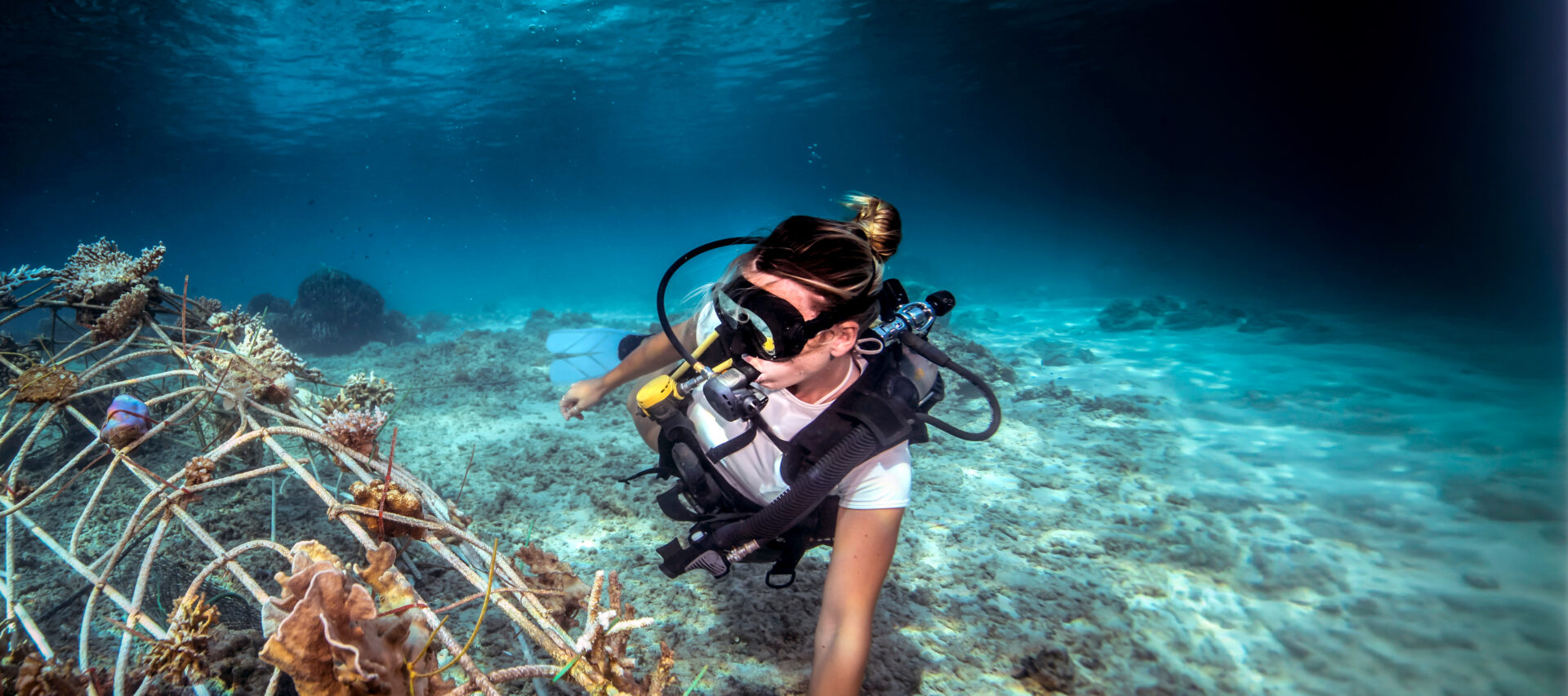 marine-conservation