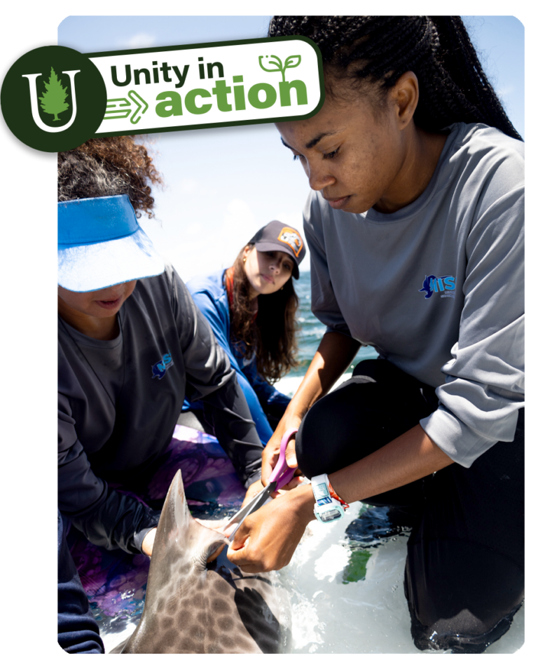 Unity in Action — Unity Environmental University