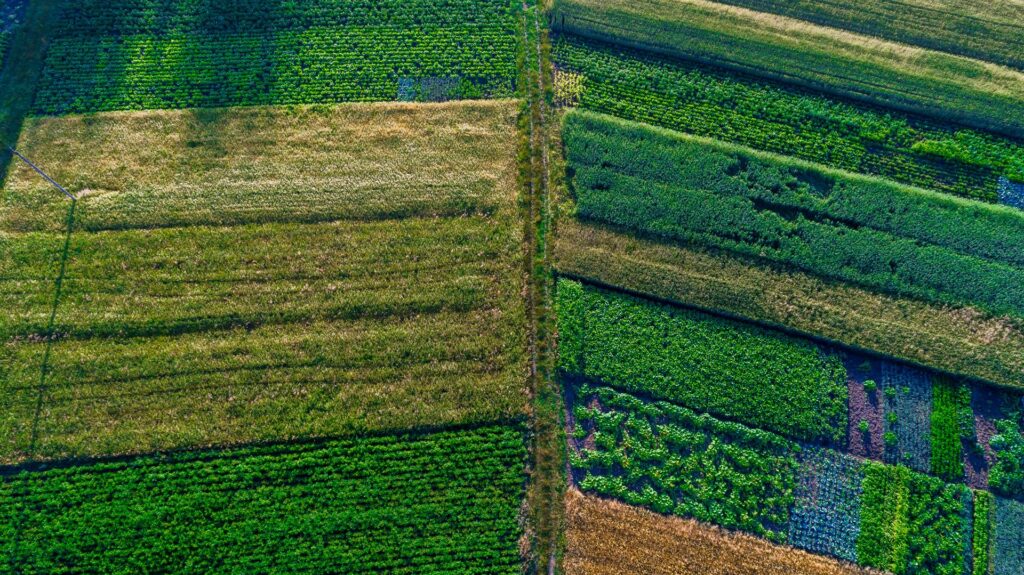 How to Become A Food Systems Analyst