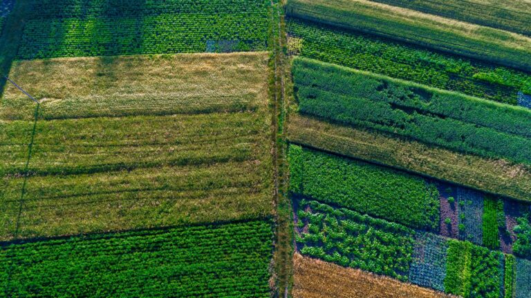 How to Become A Food Systems Analyst