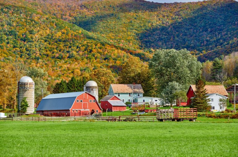 How to Become A Farm-to-Institution Program Director