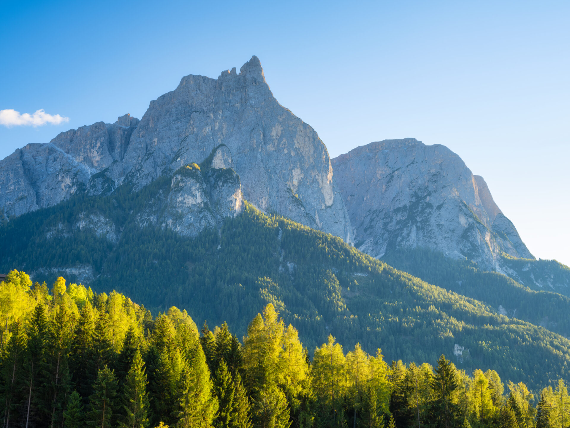 scenic-mountains-and-forest-under-blue-sky-2026-03-19-23-06-51-utc
